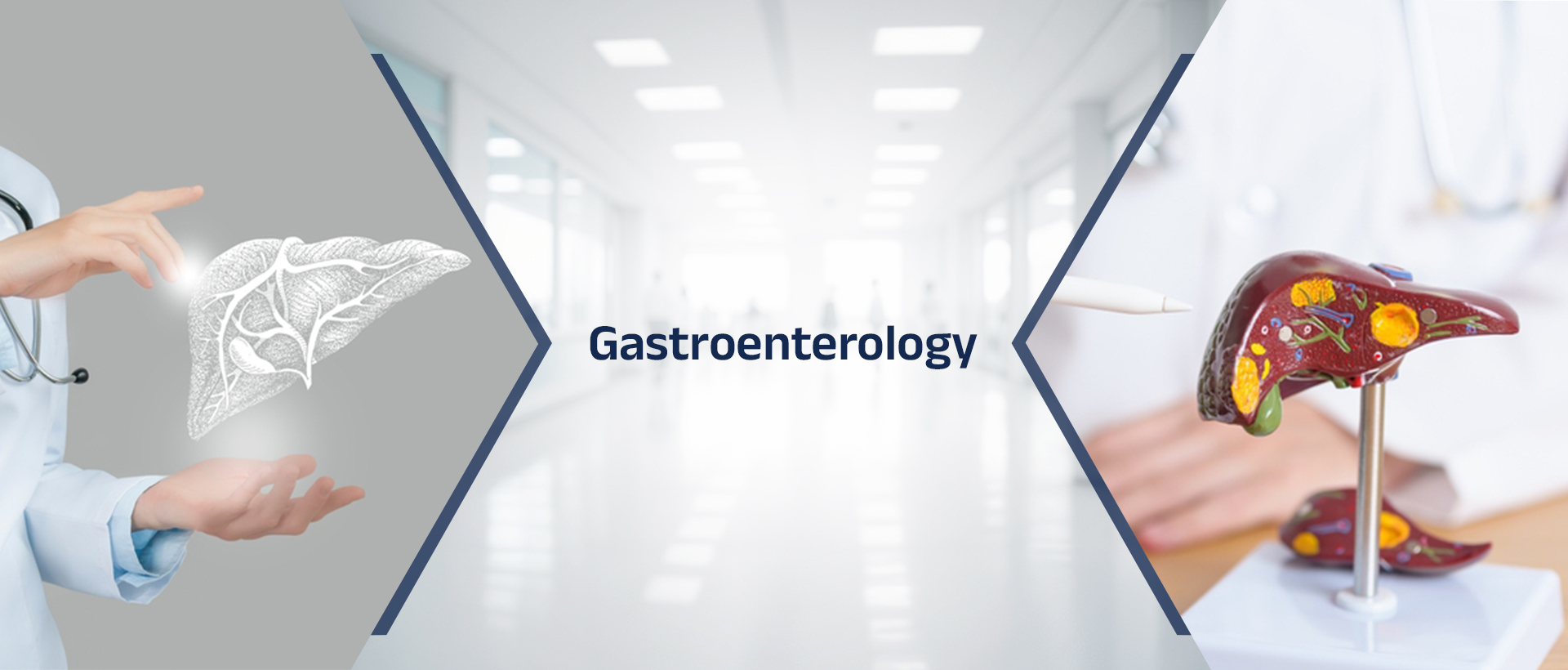 Gastroenterology